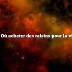 Question : Où acheter des raisins pour la vinification